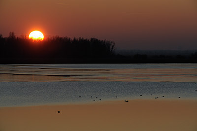 BUITEN BEELD Foto: 18564