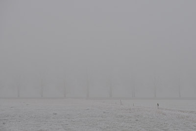 BUITEN BEELD Foto: 18571