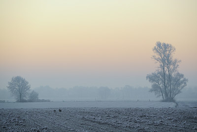 BUITEN BEELD Foto: 18572