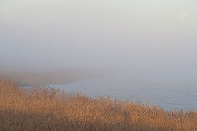 BUITEN BEELD Foto: 18575