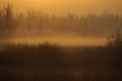 BUITEN BEELD Foto: 18577