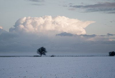 BUITEN BEELD Foto: 18598