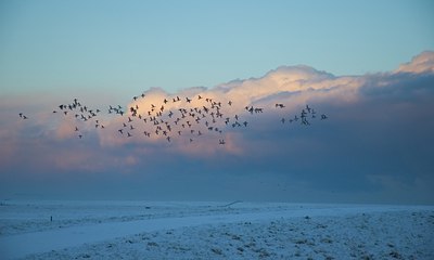 BUITEN BEELD Foto: 18600