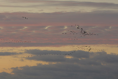 BUITEN BEELD Foto: 18611