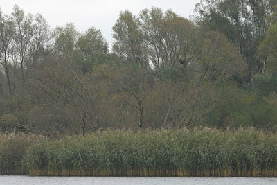BUITEN BEELD Foto: 18620