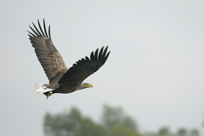 BUITEN BEELD Foto: 18623