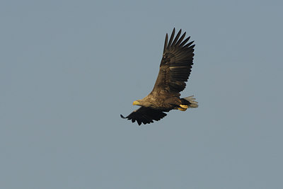BUITEN BEELD Foto: 18625