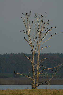 BUITEN BEELD Foto: 18632