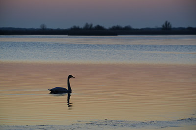 BUITEN BEELD Foto: 18633