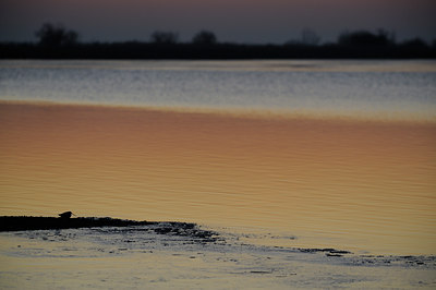 BUITEN BEELD Foto: 18634