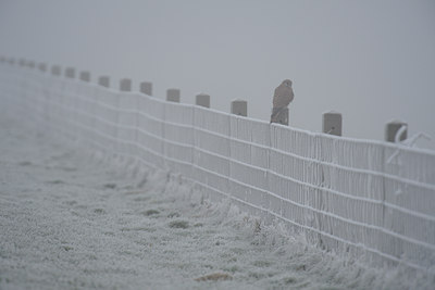 BUITEN BEELD Foto: 18635