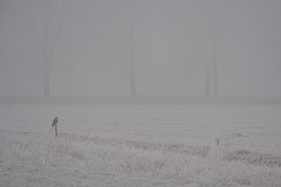 BUITEN BEELD Foto: 18637