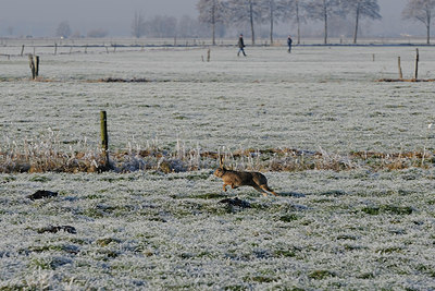 BUITEN BEELD Foto: 18668