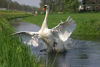 BUITEN BEELD Foto: 18738
