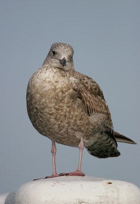 BUITEN BEELD Foto: 18742