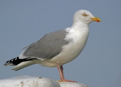 BUITEN BEELD Foto: 18744