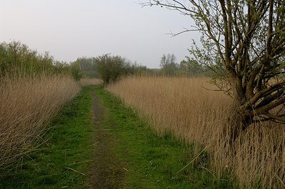 BUITEN BEELD Foto: 18852