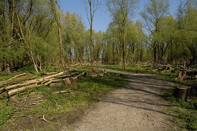 BUITEN BEELD Foto: 18854