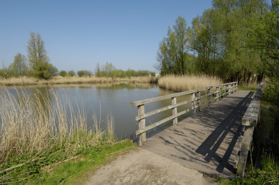 BUITEN BEELD Foto: 18855