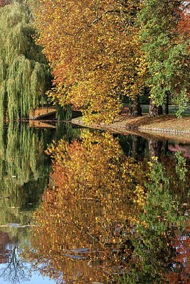 BUITEN BEELD Foto: 189029