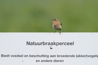 BUITEN BEELD Foto: 189069
