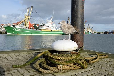 BUITEN BEELD Foto: 189243