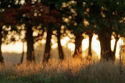 BUITEN BEELD Foto: 189278