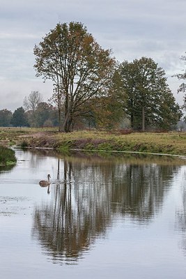 BUITEN BEELD Foto: 189296