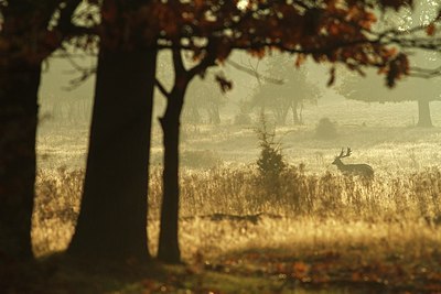 BUITEN BEELD Foto: 189311