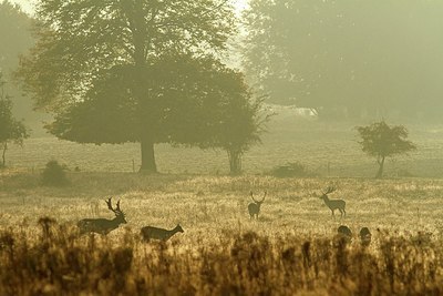 BUITEN BEELD Foto: 189312