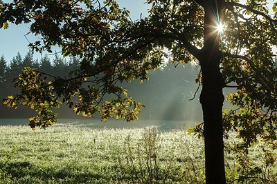 BUITEN BEELD Foto: 189379