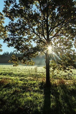 BUITEN BEELD Foto: 189380
