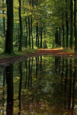 BUITEN BEELD Foto: 189381