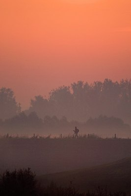 BUITEN BEELD Foto: 189446