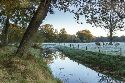 BUITEN BEELD Foto: 189466