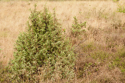 BUITEN BEELD Foto: 189568