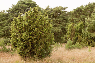 BUITEN BEELD Foto: 189569