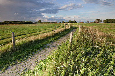 BUITEN BEELD Foto: 189619