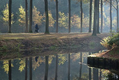 BUITEN BEELD Foto: 189627