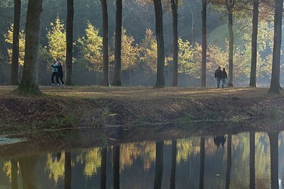 BUITEN BEELD Foto: 189628