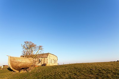 BUITEN BEELD Foto: 189742