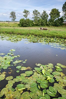 BUITEN BEELD Foto: 189828