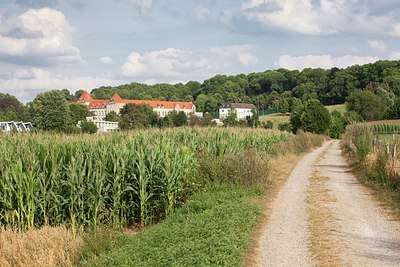 BUITEN BEELD Foto: 189839