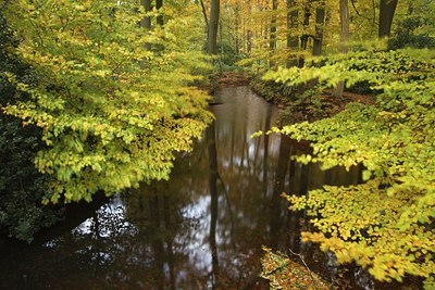 BUITEN BEELD Foto: 189985