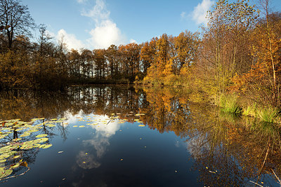 BUITEN BEELD Foto: 190080
