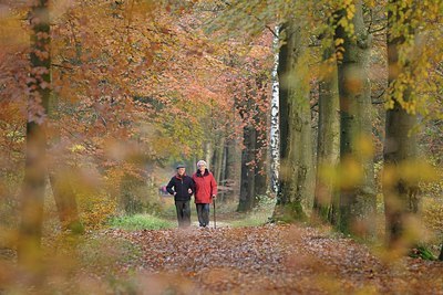 BUITEN BEELD Foto: 190081