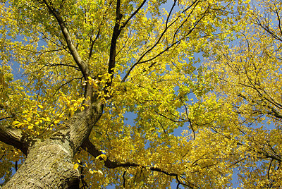 BUITEN BEELD Foto: 190095