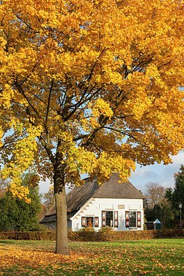 BUITEN BEELD Foto: 190135