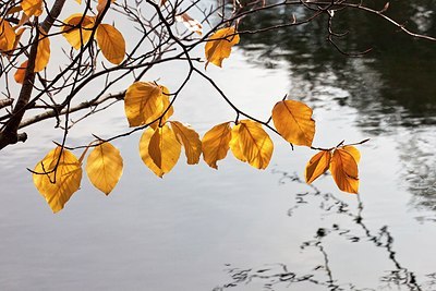 BUITEN BEELD Foto: 190200
