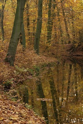 BUITEN BEELD Foto: 190242
